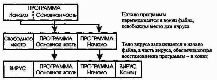 Способы внедрения СОМ-вирусов